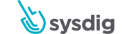 Логотип компании Sysdig